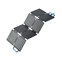 BLUETTI 60W Panel solar portátil | 60 W
