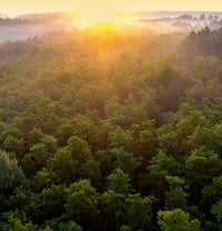 Creando un mundo más limpio
